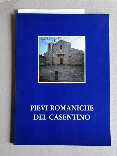 Libro pievi romaniche del - libro,