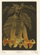 BRUNO MISSIERI  -DATURA 2000  Acquatinta a 3 colori- CALCOGRAFIA - INCISIONE