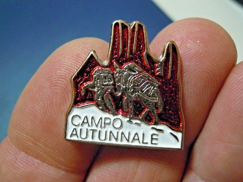 Pin spilla esercito italiano - -,