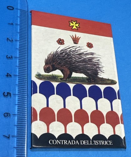 Contrada dell istrice calamita - dell'istrice,