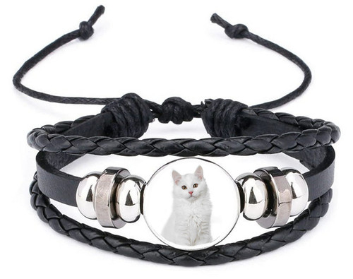 Siberian white cat - pet, black