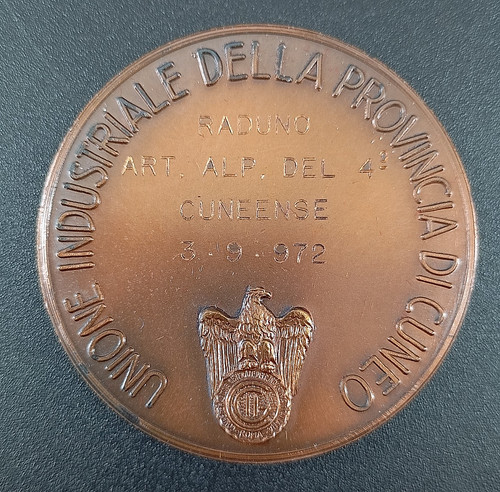 Medaglia raduno alpini - medaglia,