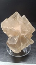 Fluorite beige su matrice – Miniera di Silius, Sardegna, Italia – 