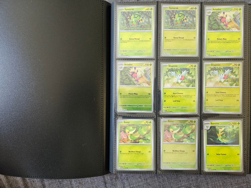 Pokemon perfect order 100 - order, 100%