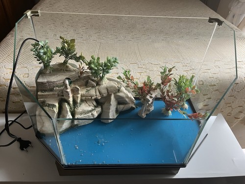 Acquario per tartarughe
