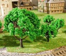 20 Alberi Verde Medio, 10