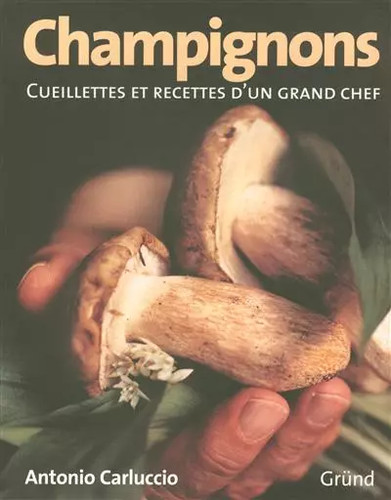 Les champignons cueillettes - les,