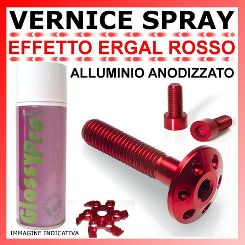 Vernice spray effetto ergal - vernice,