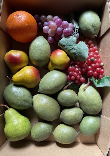 Finta plastica frutta lime