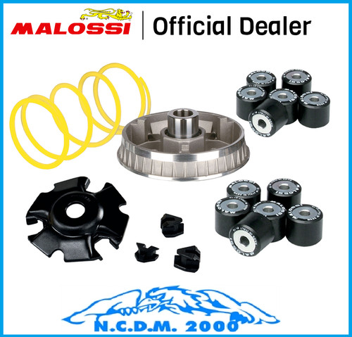 Variatore malossi multivar - malossi,