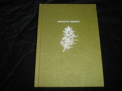 Mesostic remedy poems the - mesostic,