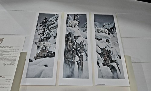 Set stampa artistica - , trittico