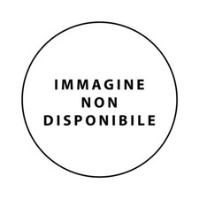 VETRO POSTERIORE LUNOTTO VR