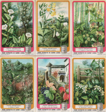 FIGURINE LIEBIG SERIE COMPLETA