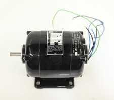 Motore piccolo Bodine NSI-34