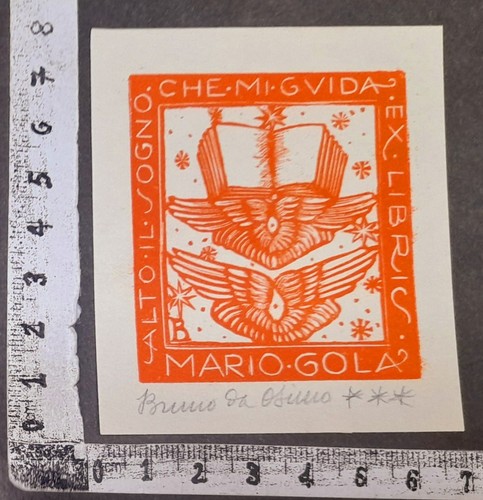 Wunderkammer exlibris 350 - wunderkammer,