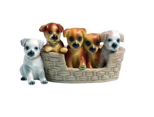 Gruppo cuccioli cane puppy - cane,