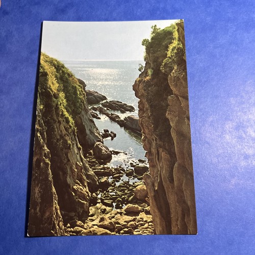 Cartolina colori collezione - cartolina,