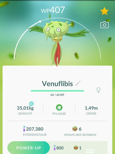 Pokémon pokemon - ✅️,