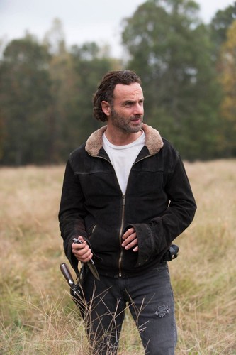 Uomo andrew lincoln - uomo,