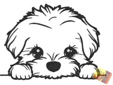 Adesivo AUTO CANE MALTESE CUCCIOLO 18 x 13H CM PVC NERO VINILE STICKERS PRESPAZ