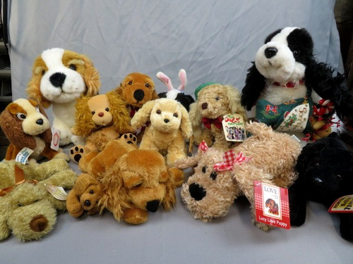 Lotto cocker spaniel - lotto,