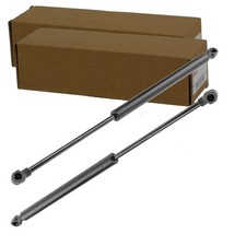 2 molle a gas NTY SOLLEVATORE