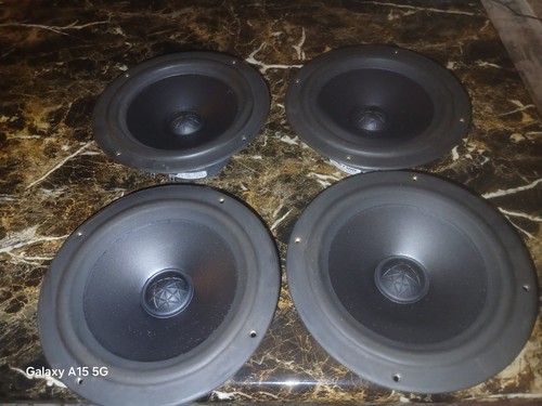 Woofer vintage polk - polk, audio