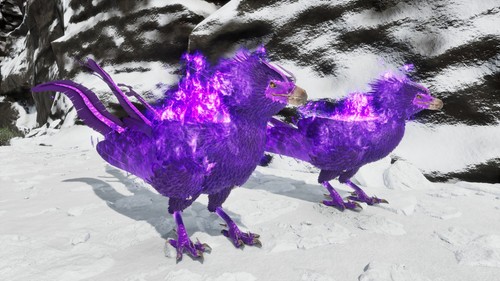 Ark survival ascended - 🔥​ark,