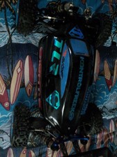 Team Losi 8 Buggy Elettrico Castello Elettronica