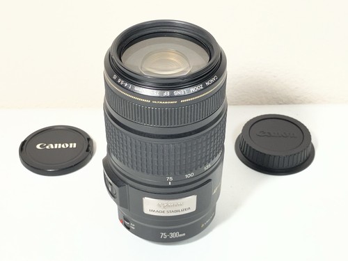 Canon 300 4 - mm, è
