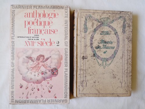 Lotto libri francesi - lotto,