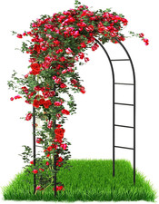 Arco per Piante Rampicanti E