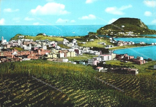 Eh409 cartolina bacoli - eh409,