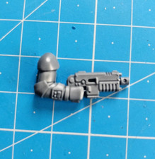 Assault Intercessors Bits Bolt