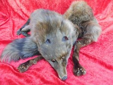 Bella, Vecchio Stola Di Volpe, Intero Pelliccia, Sciarpa Di Pelliccia, 130cm