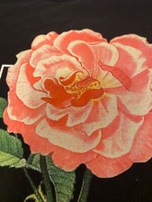 T-shirt Shawn Mendes THE TOUR