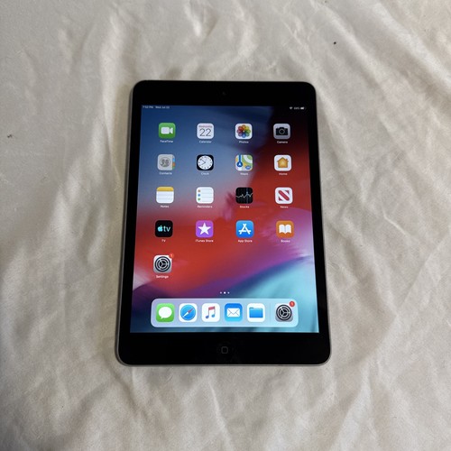 Apple ipad mini fi - apple, wi‐fi