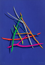 OMAR RONDA ( Portula Biella 1947 - 2017) Opera Grafica Serigrafia Chimere 100x70