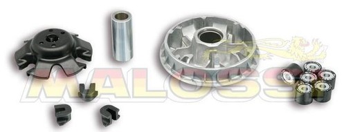 Variatore malossi multivar - variatore, wt