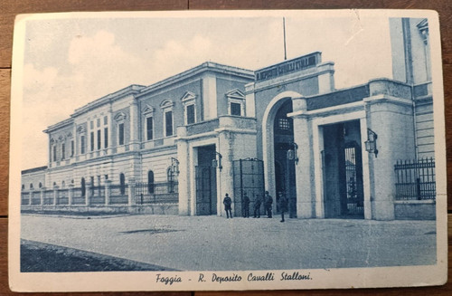 Primi 900 foggia coi - 900, cavalli
