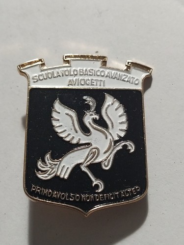 Distintivo spilla scuola - distintivo,