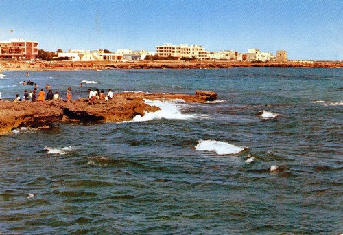 Foca lecce panorama - s.foca,