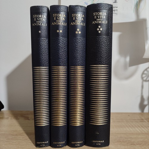 Storia vita degli - e,