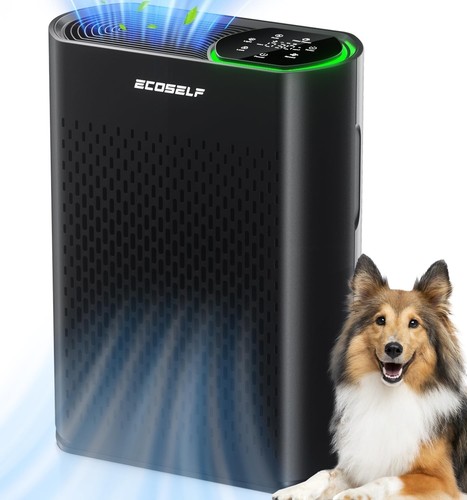 Purificatore aria per grandi - purificatore,