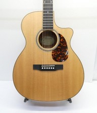 Chitarra elettrica-acustica