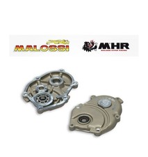 Coperchio Ingranaggi Malossi
