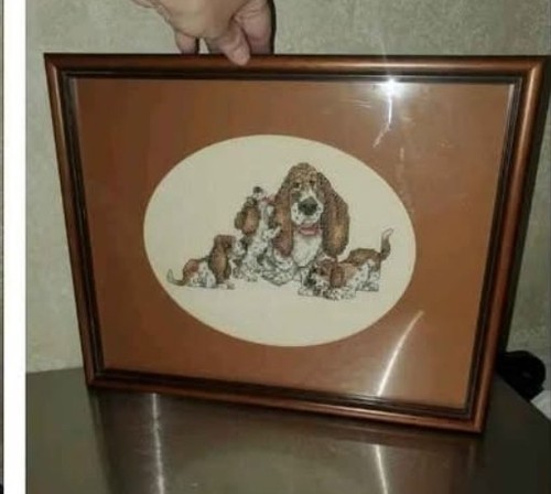 Adorable basset hound puppy - basset,