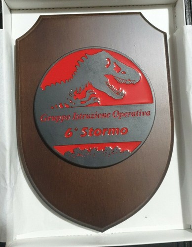 Crest stormo gruppo - stormo,