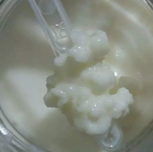 Kefir latte grani - ✔️kefir,